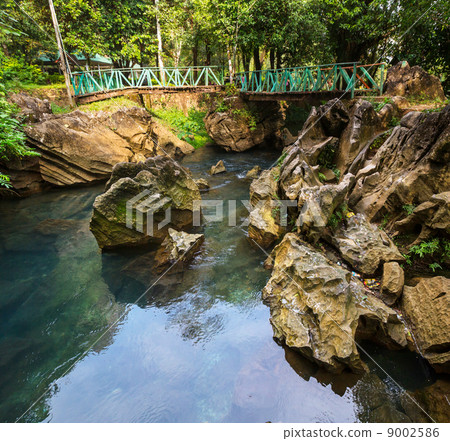 Bridge in jungle Bridge in jungle 9002586
