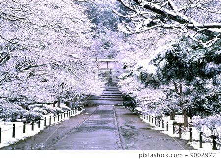 Winter in Kyoto Nisein-in Winter in Kyoto Nisein-in 9002972