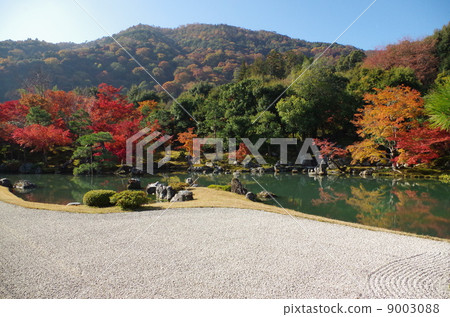 Tenryu花園 9003088