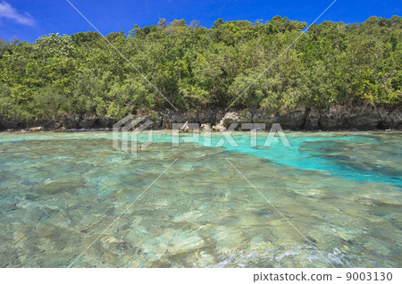 帕勞浮潛點 帕勞浮潛點 9003130