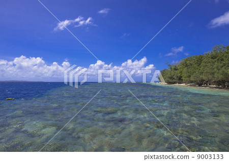 帕勞浮潛點 9003133