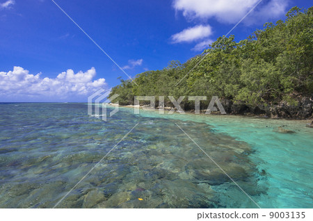 帕勞浮潛點 帕勞浮潛點 9003135