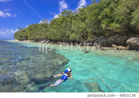 帕勞浮潛點 9003136