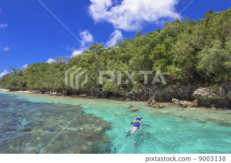 Palauan snorkelling points 9003138