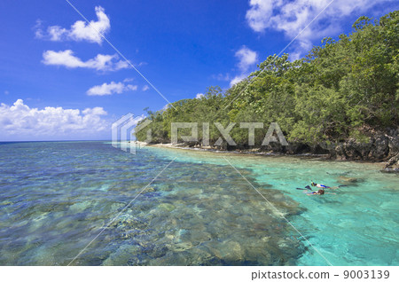 Palauan snorkelling points Palauan snorkelling points 9003139