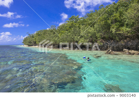 Palauan snorkelling points Palauan snorkelling points 9003140