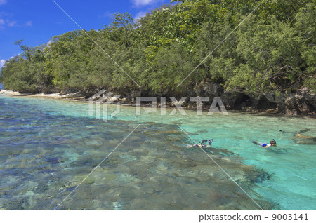 帕勞浮潛點 帕勞浮潛點 9003141
