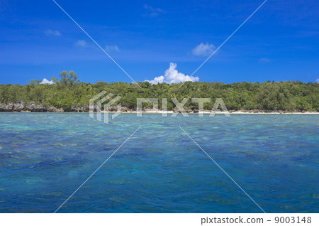 Palauan snorkelling points Palauan snorkelling points 9003148
