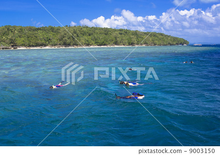 Palauan snorkelling points 9003150