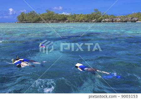 Palauan snorkelling points 9003153