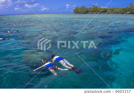 Palauan snorkelling points 9003157