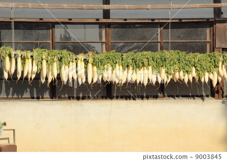 Dried radish of a private house 9003845