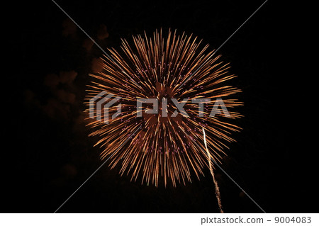長野縣惠比壽煙花節 長野縣惠比壽煙花節 9004083
