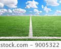 Football and soccer field grass stadium Blue sky background 9005322
