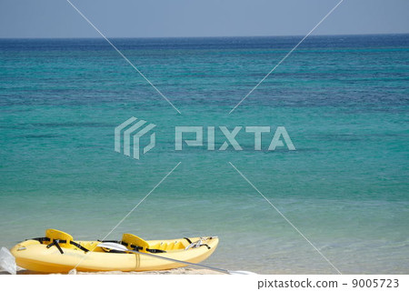 Miyakojima Shinshū Coast 9005723