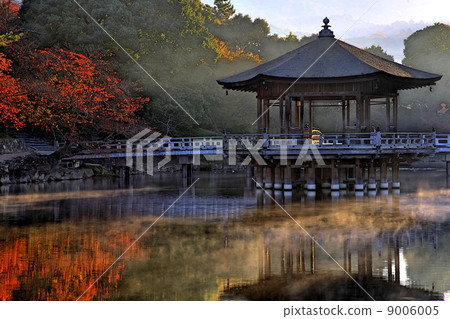 Morning of Ukimido 9006005