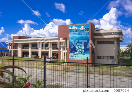 在帕勞科羅爾的街道上 9007024