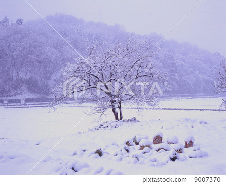 Temple home and village snow 9007370