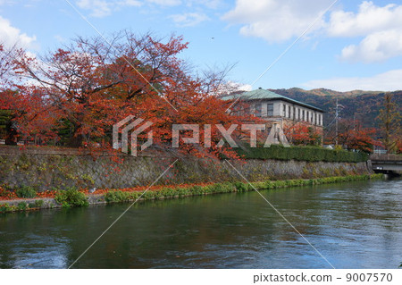京都在秋天 9007570
