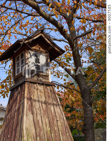 Nightlight at Kohama-juku, Takarazuka City, Hyogo Prefecture 9007585