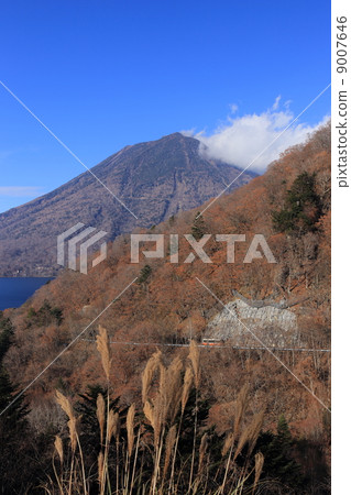Mt. Mt. 9007646