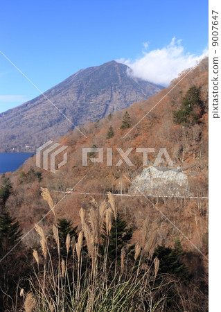 Mt. Mt. 9007647