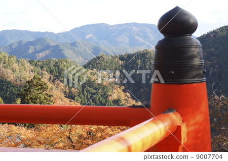 Koba Giboshi 01 9007704