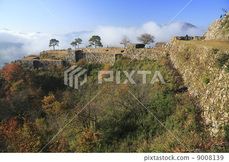 Takeda castle 9008139