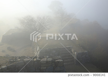 Takeda castle 9008141