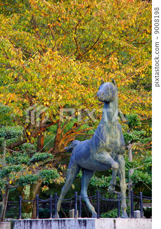Kyoto · Nogi Shrine's war horse 9008198