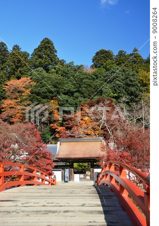 Muroyoriji色與秋葉 9008264