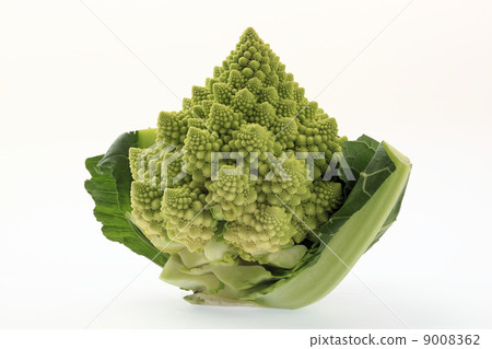 Food, Romanesco 9008362
