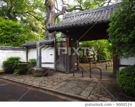 箱根Hayunji寺 9008514