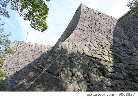 Kagawa prefecture Marugame city "Marugame castle" Slope of the Sannaru Ishigaki fan (near the pilgrim) Kagawa prefecture Marugame city "Marugame castle" Slope of the Sannaru Ishigaki fan (near the pilgrim) 9008827