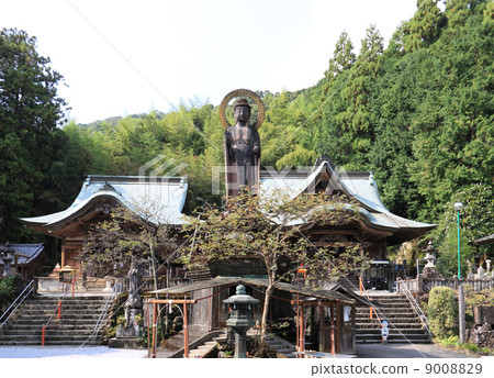 四國大佛第35佛教寺院“Kiyotakuji”大雄寶殿和Daitakudo，Yakushi Ryuichi雕像 9008829