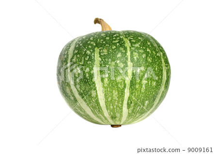 Green pumpkin isolated Green pumpkin isolated 9009161