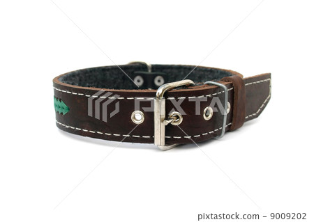 leather animal collar isolated 9009202