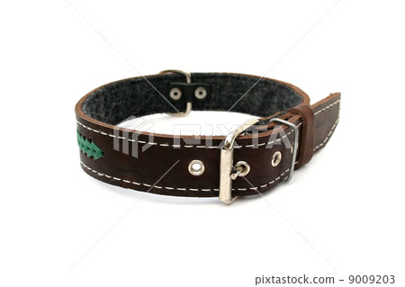 leather animal collar isolated 9009203