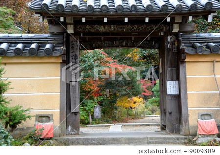 The main gate of Joruri-ji wrapped in stunning autumn leaves The main gate of Joruri-ji wrapped in stunning autumn leaves 9009309