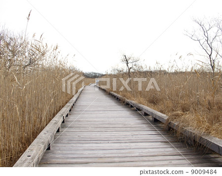 釧路在秋天停泊 9009484