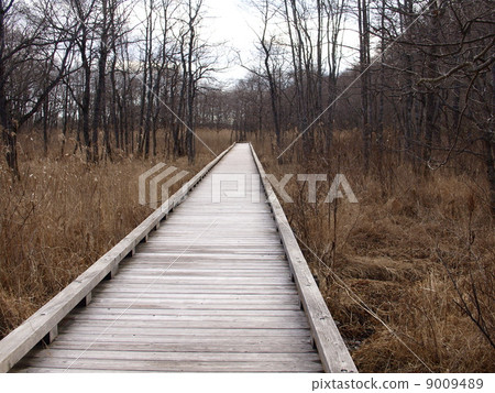 釧路在秋天停泊 9009489