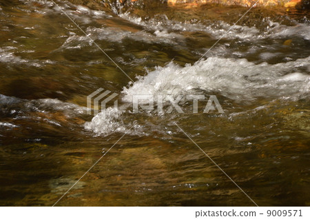 Arashiyama Valley Fall of Saitama 9009571