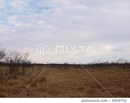 Kushiro moor in autumn 9009702