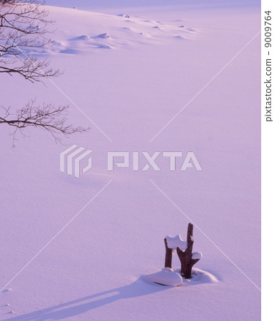 Hinohara lake in the evening sun Hinohara lake in the evening sun 9009764