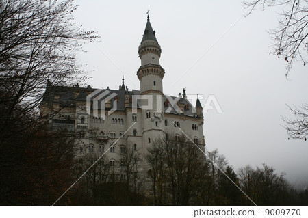 Neuschwanstein castle Swan castle Germany 9009770