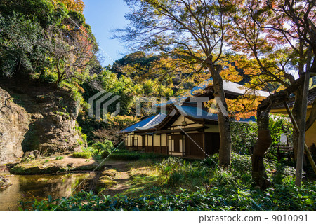 Late autumn Kamakura Zuisenji garden 9010091