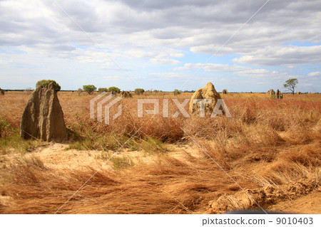 Australia · Lakefield National Park 9010403