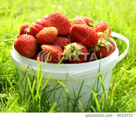 Ripe strawberry 9010751