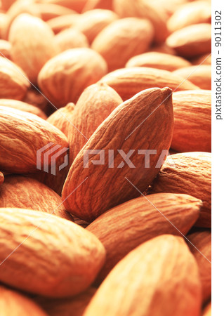 Almond Almond 9011302