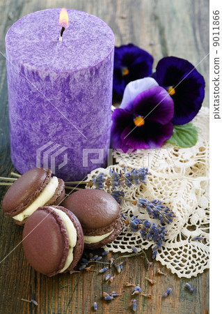 Macarons, sprigs of lavender and viols. 9011866